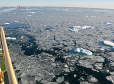 Sea ice on the Arctic Ocean as seen from a ship