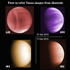 Venus photographed with different wavelengths. Cloud temperature distribution (top left, mid-infrared), distribution of sulfur dioxide, which becomes a component of the sulfuric acid clouds (top right, ultraviolet), sunlight scattering caused by clouds (bottom left, near-infrared), difference in the elevation of clouds (bottom right, near-infrared). (There is no significance in the coloring.)