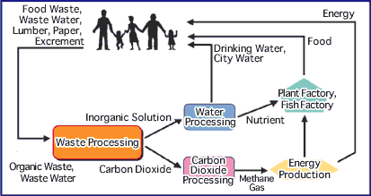 Organic Waste Recycling System