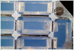 Samples captured in aerogel in the collector(Courtesy of NASA)