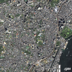 Center of Tokyo imaged by DAICHI