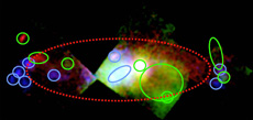 X-ray map of the central region of the Milky Way. This map shows a region along the galactic plane with an area of 500 light-years by 100 light-years. The galactic center exists in the white portion near the center of the image, and the red-dotted line is the high-temperature plasma sphere. The green ellipsoid is a supernova remnant, and the blue circle is the molecular cloud. The black regions have not yet been observed.