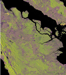 Eastern Sumatra in Indonesia. Green indicates forested area and purple indicates deforested or non-forested area. ©JAXA,METI analyzed by JAXA