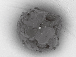 Image from an electron microscope. (Courtesy of Tohoku University and JAXA)