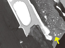 Electron microscope image. White grains (indicated by arrows) are where bubbles once formed. (Courtesy of Tohoku University and JAXA)