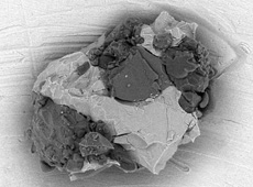 Electron microscope photo of dust from Itokawa