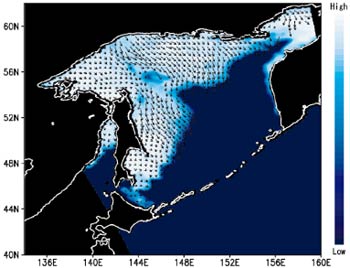 Distribution of Drifting Sea Ice over the Sea of Okhotsk