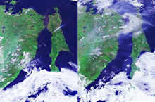 A satellite acquired images of a forest fire in Sakhalin