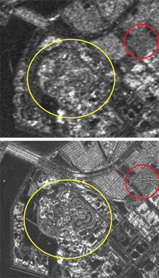 Comparison of SAR resolution. The shapes of condominiums (marked with a red circle) and the main structural object (marked with yellow circle), which are not identifiable in the image taken by ALOS/PALSAR, are identifiable in the simulation image of ALOS-2/PALSAR-2 (lower image).
