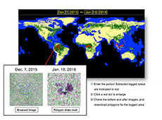 Forest Monitoring System website