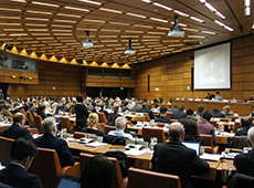 A scene from the STSC meeting on January 30, 2017. (courtesy of UNOOSA)