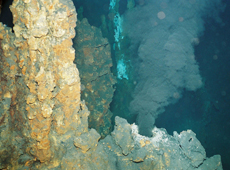 Vent chimney at the deep-sea floor of the South Pacific Ocean, along the Kermandec arc (courtesy: JAMSTEC)