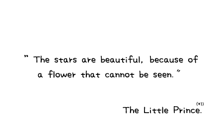 'The stars are beautiful, because of a flower that cannot be seen'  The Little Prince. (*1)