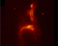 Akari's image of reflection nebula IC 4954