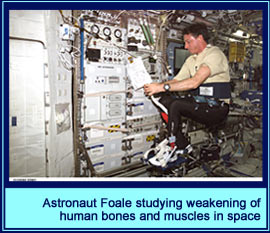 Astronaut Foale studying weakening of human bones and muscles in space