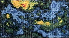 Topographic map of Venus by U.S. Magellan (Courtesy of NASA/NSSDC)