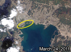 The area around Rikuzentakada city, Iwate prefecture before (upper image) and after (lower image) the Great East Japan Earthquake, as observed by DAICHI. The yellow circle shows where a pine grove that stretched for 2 km east to west was completely washed away by the tsunami. (courtesy: JAXA/ Yokoyama Geo-Spatial Information Laboratory Co., Ltd.)