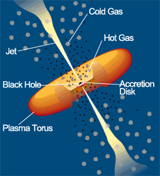 A black hole encircled by a torus (Courtesy of C.M. Urry and P. Padovani)