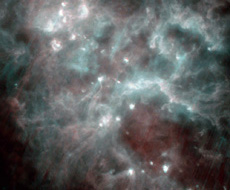 Star-forming regions in the constellation Cygnus
