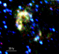 Supernova remnant B0104-72.3 in the Small Magellanic Cloud (the white line indicates a distance of 30 light years)