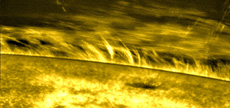 Cold plasma floating in the corona above the solar limb. Alfvén waves were observed for the first time, extrapolated from fluctuations of the plasma.
