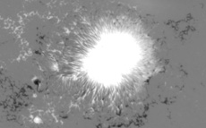 Line-of-sight magnetogram of a sunspot and its surroundings. Black and white represent negative and positive polarity respectively.