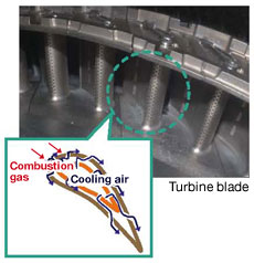 Turbine blade cooling structure