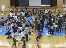 Schooling in Okinawa