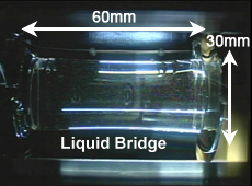 Largest liquid bridge formed in the Marangoni convection experiment (courtesy: JAXA/Tokyo University of Science, Suwa)