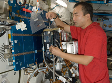 Astronaut Soichi Noguchi mending the facility for the Marangoni convection experiment (courtesy: NASA)