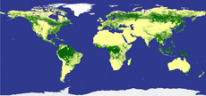 2009 global forest/non-forest map. Green indicates forested area. ©JAXA,METI analyzed by JAXA