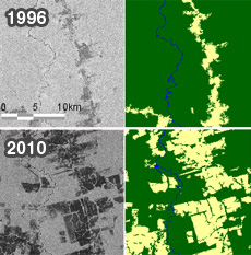 Comparison of Pará state in the Amazon region of Brazil in 1996 and 2010. On the left are satellite images, and on the right are images distinguishing forested and non-forested areas, with forested areas indicated in green. ©JAXA,METI analyzed by JAXA