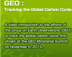 GEO: Tracking the Global Carbon Cycle A video introduction to the efforts of the Group on Earth Observations (GEO) to track the global carbon cycle, first shown at the GEO Ministerial Summit on November 5, 2010.