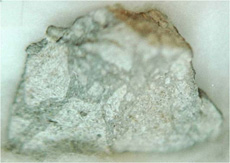 The Tsukuba meteorite, a typical chondrite meteorite that fell in the vicinity of Tsukuba City, Ibaraki Prefecture in 1996. (courtesy: Tomoki Nakamura)