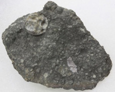 The Allende meteorite, a carbonaceous chondrite meteorite that fell in Mexico in 1969. (courtesy: Hisayoshi Yurimoto)