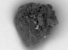 An electron microscope photo of Itokawa's dust particles